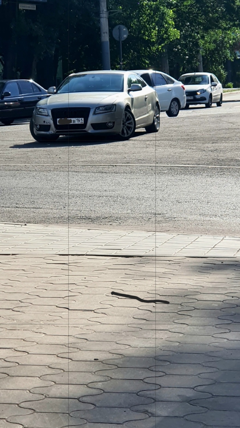 Авто представителя по судебным делам 